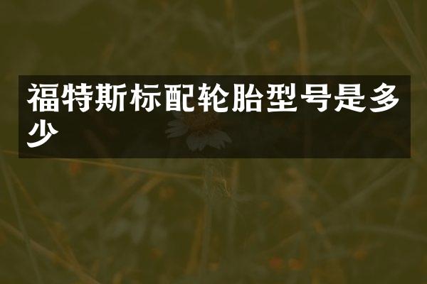 福特斯标配轮胎型号是多少