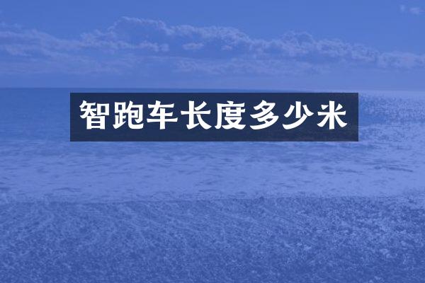 智跑车长度多少米