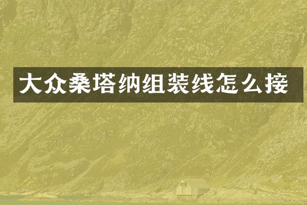 大众桑塔纳组装线怎么接
