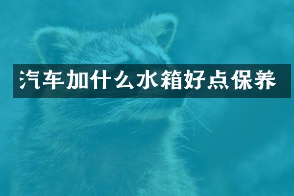 汽车加什么水箱好点保养