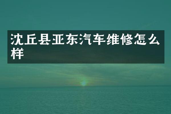 沈丘县亚东汽车维修怎么样