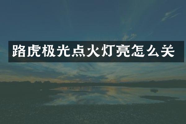 路虎极光点火灯亮怎么关
