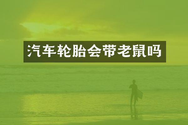 汽车轮胎会带老鼠吗