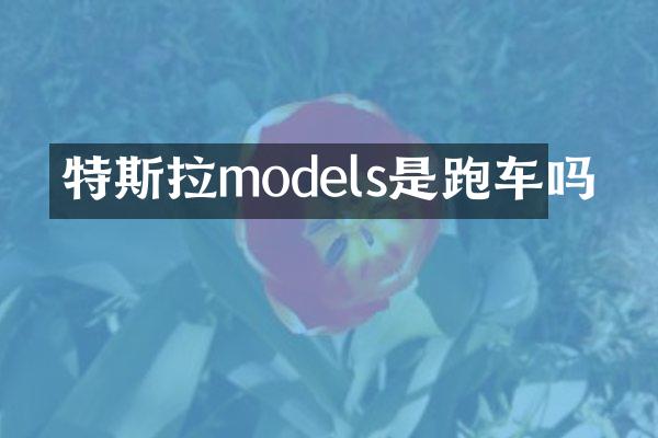 特斯拉models是跑车吗