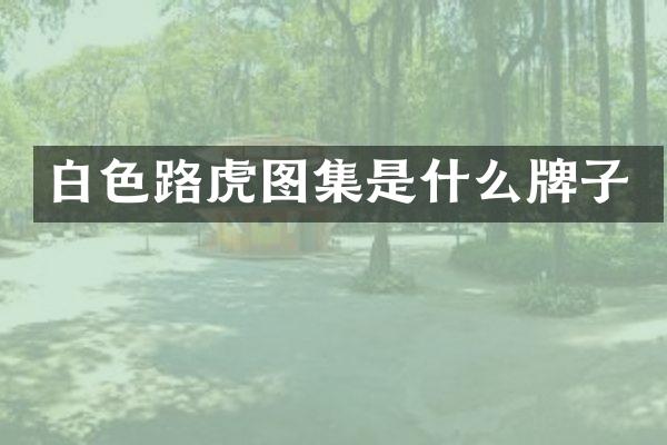 白色路虎图集是什么牌子