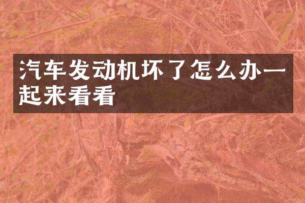 汽车发动机坏了怎么办一起来看看
