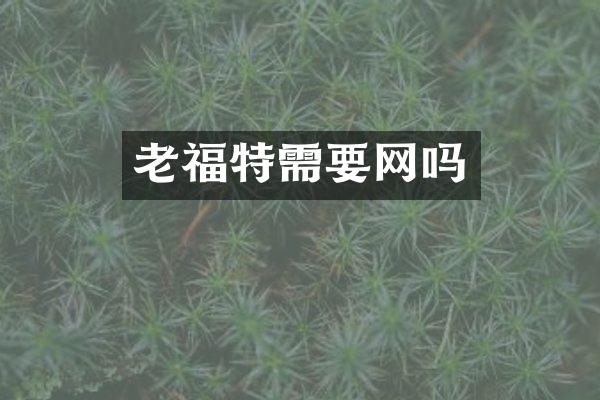 老福特需要网吗