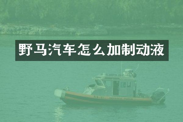 野马汽车怎么加制动液