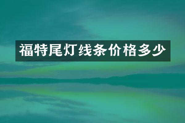 福特尾灯线条价格多少