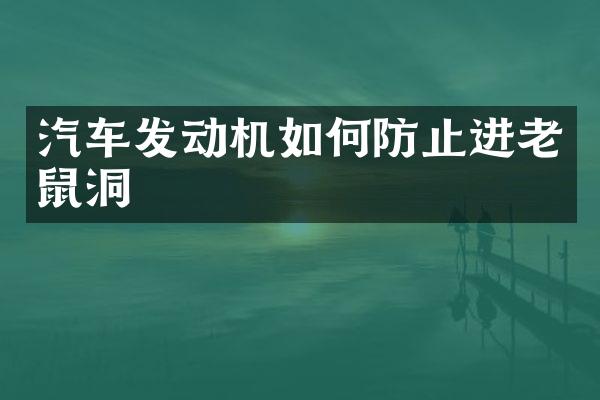 汽车发动机如何防止进老鼠洞