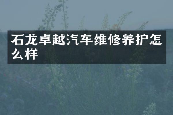 石龙卓越汽车维修养护怎么样