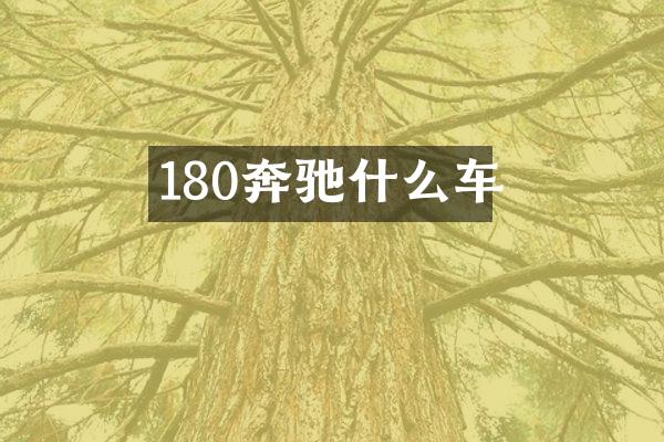 180奔驰什么车