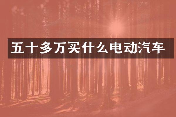 五十多万电动汽车
