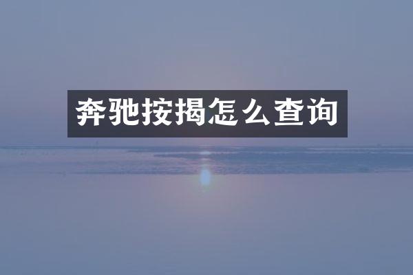 奔驰按揭怎么查询