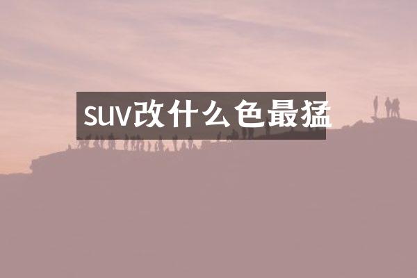 suv改什么色最猛