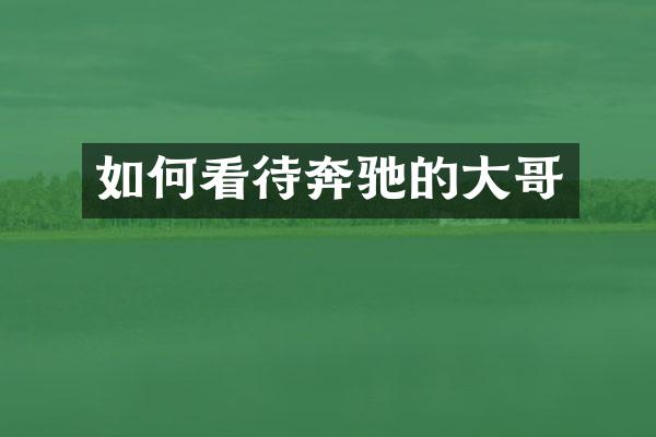 如何看待奔驰的大哥