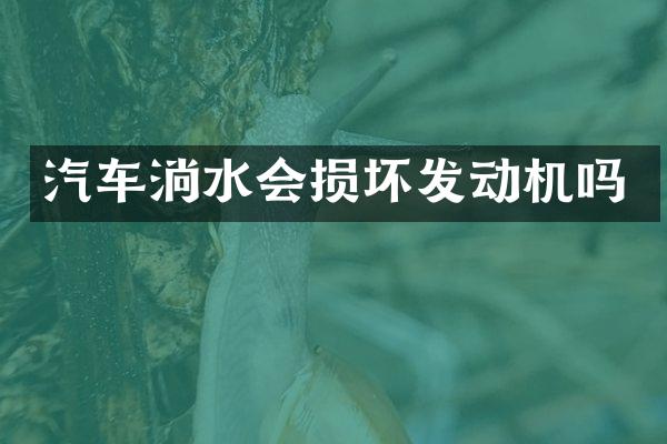 汽车淌水会损坏发动机吗