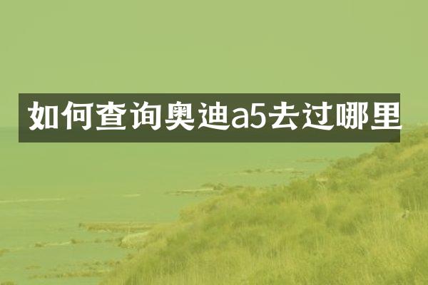 如何查询奥迪a5去过哪里