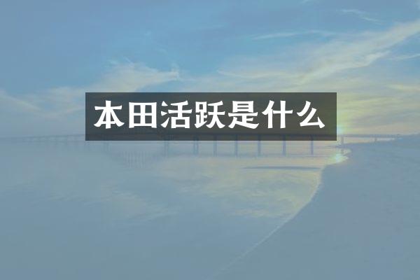 本田活跃是什么