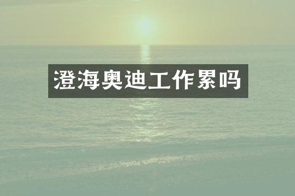 澄海奥迪工作累吗