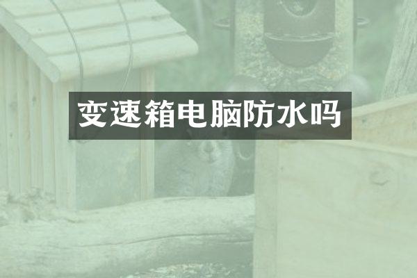 变速箱电脑防水吗
