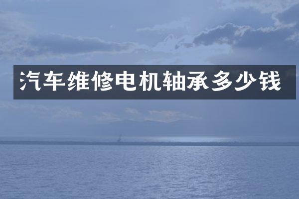 汽车维修电机轴承多少钱