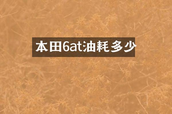 本田6at油耗多少