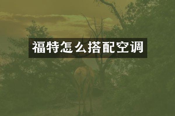 福特怎么搭配空调