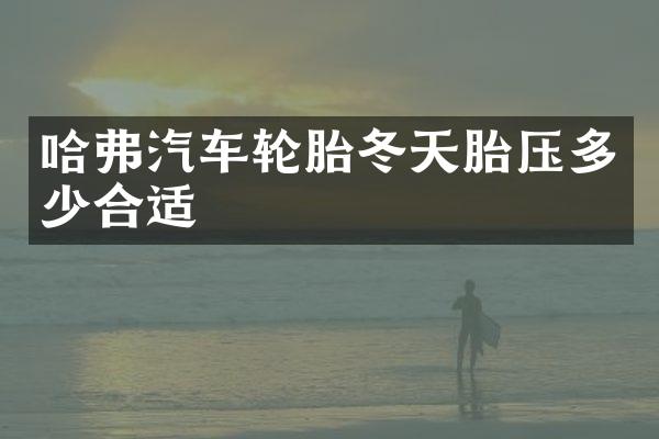 哈弗汽车轮胎冬天胎压多少合适
