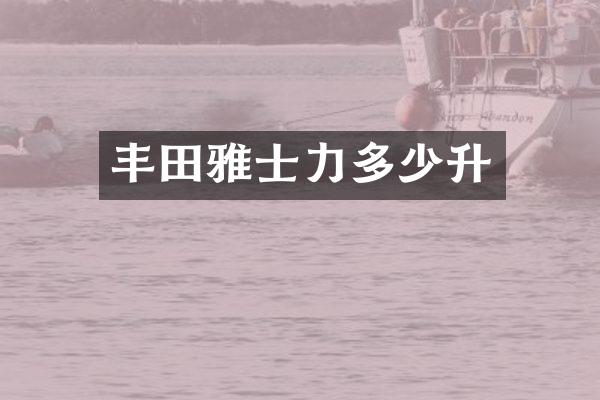 丰田雅士力多少升