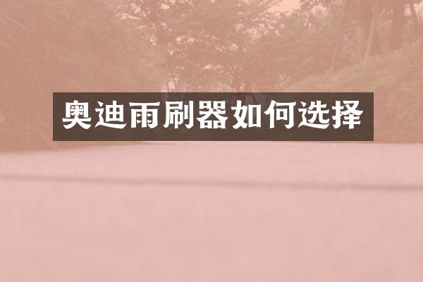奥迪雨刷器如何选择