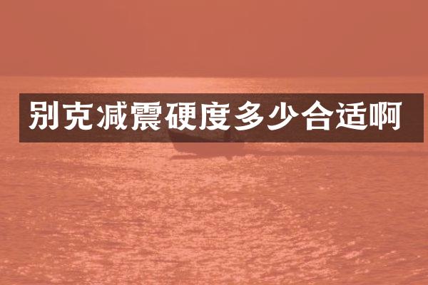 别克减震硬度多少合适啊