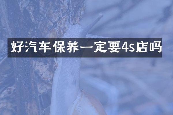好汽车保养一定要4s店吗