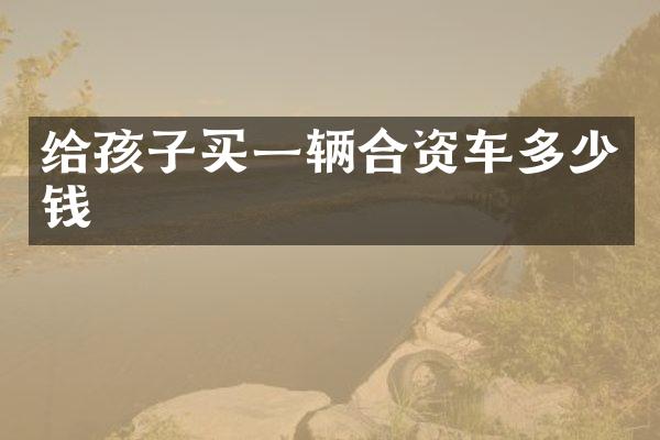 给孩子买一辆合资车多少钱