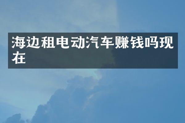 海边租电动汽车赚钱吗现在