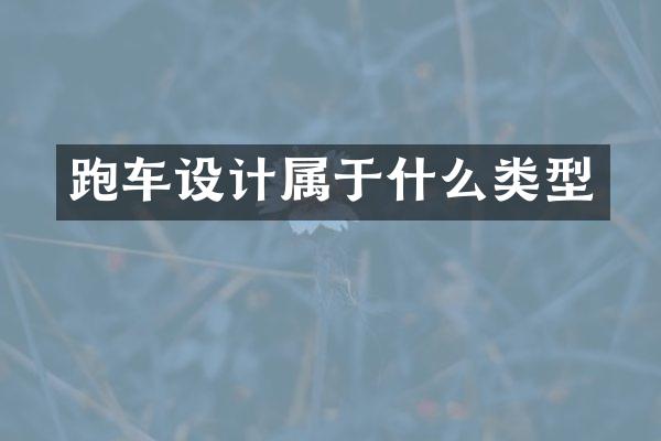 跑车设计属于什么类型