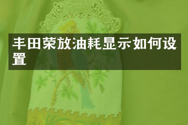 丰田荣放油耗显示如何设置