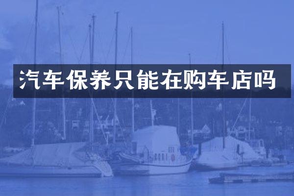 汽车保养只能在购车店吗