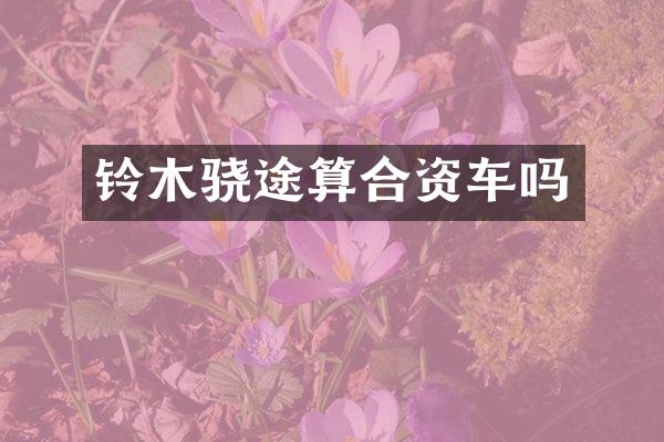 铃木骁途算合资车吗