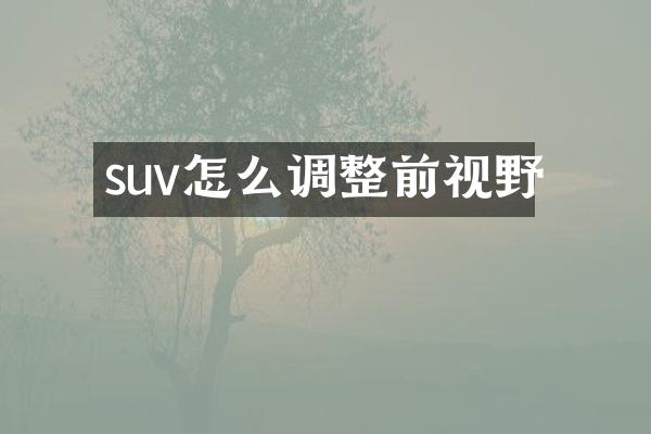 suv怎么调整前视野