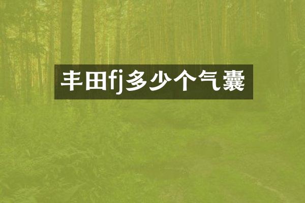 丰田fj多少个气囊
