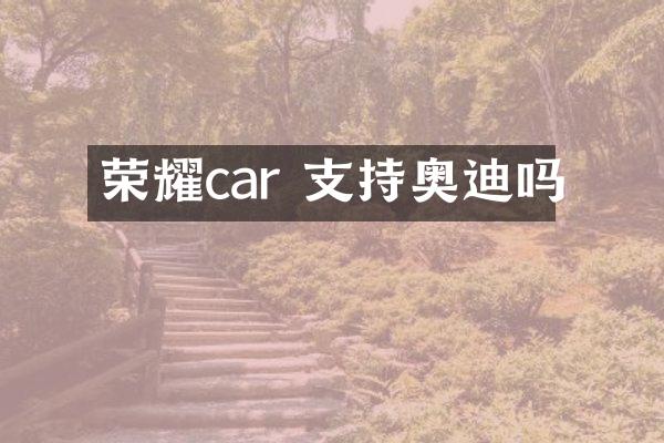 荣耀car 支持奥迪吗