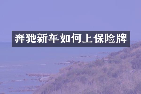 奔驰新车如何上保险牌