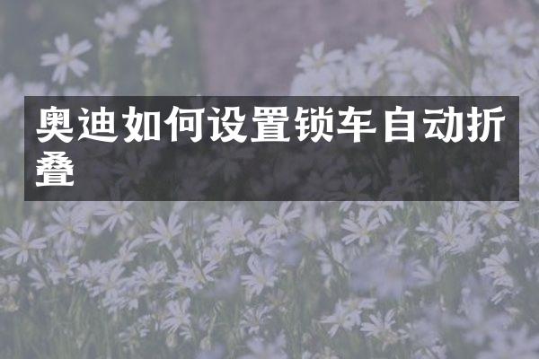 奥迪如何设置锁车自动折叠