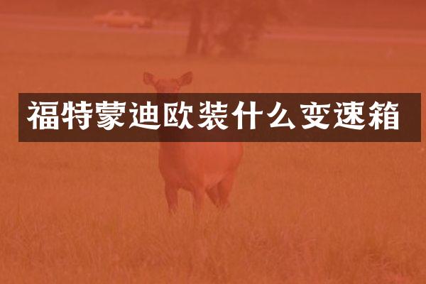 福特蒙迪欧装什么变速箱