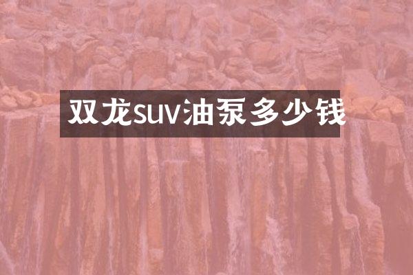 双龙suv油泵多少钱