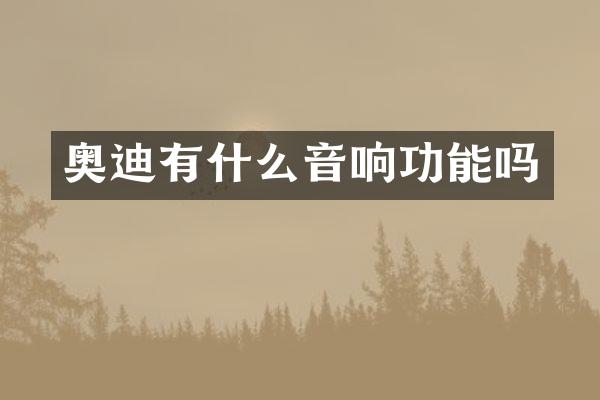 奥迪有什么音响功能吗