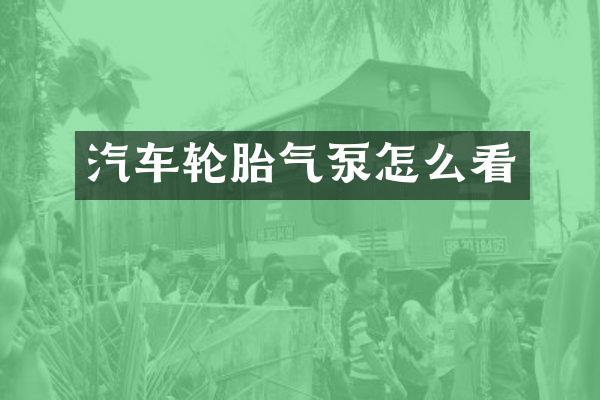 汽车轮胎气泵怎么看