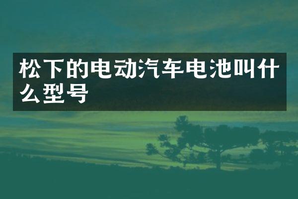 的电动汽车电池叫什么型号