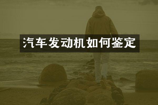 汽车发动机如何鉴定
